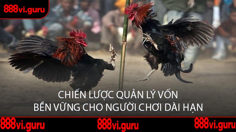 Chiến Lược Quản Lý Vốn Bền Vững Cho Người Chơi Dài Hạn