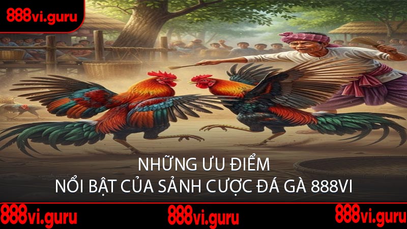 Những Ưu Điểm Nổi Bật Của Sảnh Cược Đá Gà 888VI
