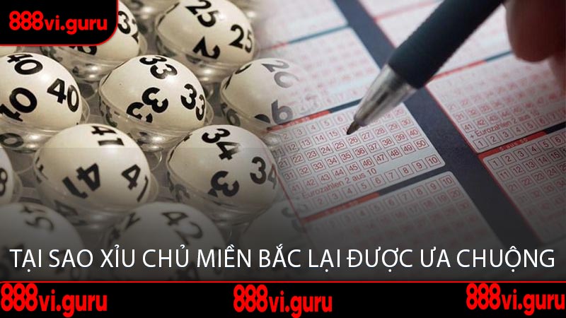 Tại Sao Xỉu Chủ Miền Bắc Lại Được Ưa Chuộng
