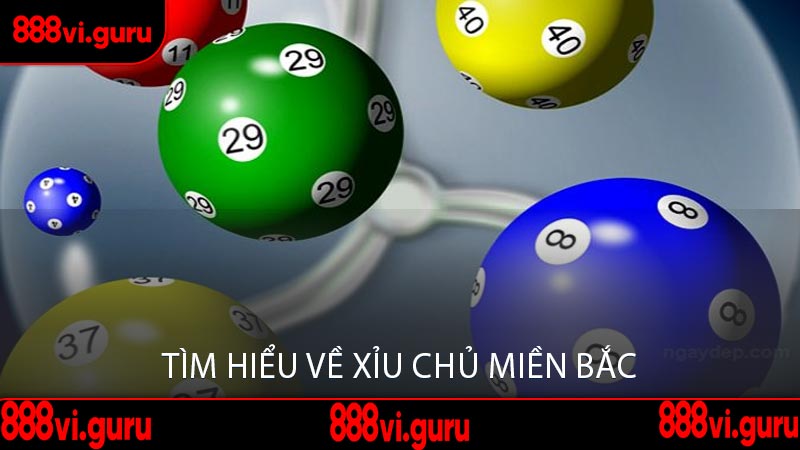 Tìm Hiểu Về Xỉu Chủ Miền Bắc